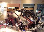 044_2009-0119-1139-48.jpg